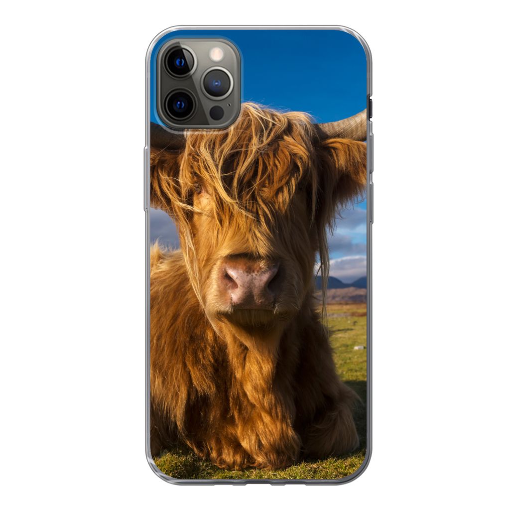 MuchoWow Handyhülle Schutzhülle Hülle für iPhone 13 Pro Max Schottische Highlander - Tiere - Gras Silikon Softcase Handy Hülle - Mobiltelefon