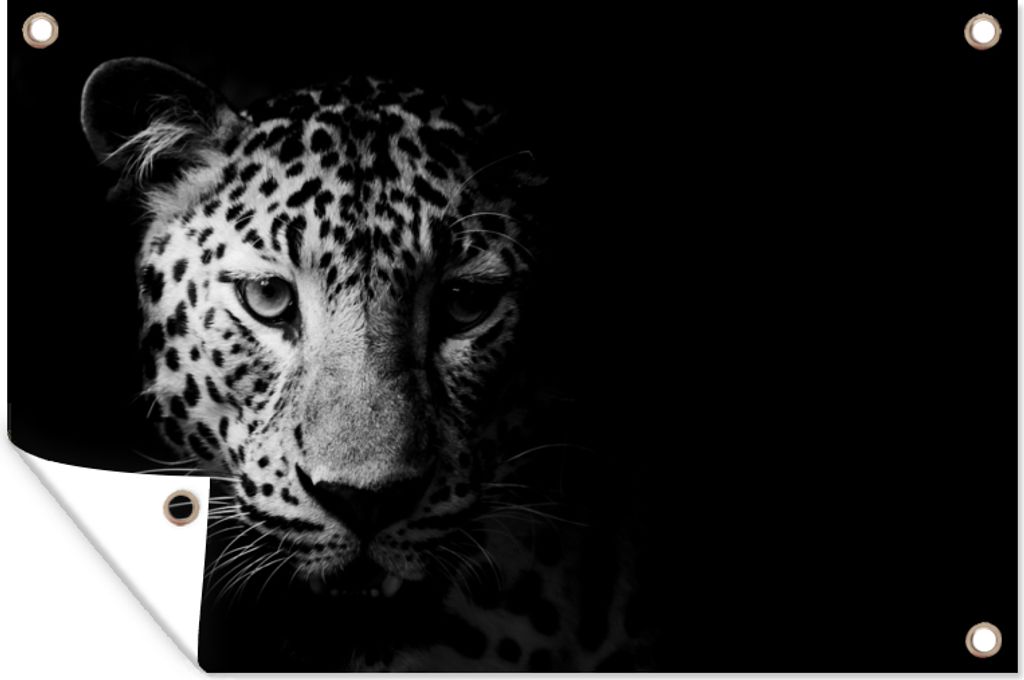 MuchoWow 120x80 cm Outdoor-Poster Gartendeko Sichtschutz Garten Poster für den Garten Panther - Wildtiere - Schwarz und weiß - Tiere