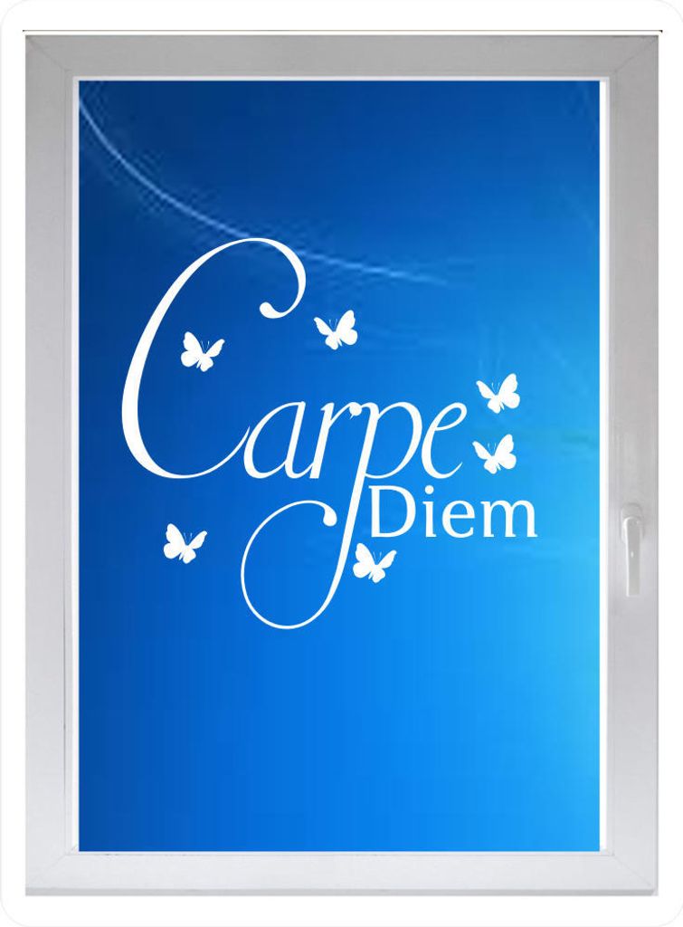 INDIGOS UG - Carpe diem - Farbe: weiss - 60x56 cm - Sichtschutzfolie - Fensterfolie - Glasdekorfolie - für die Küche, Carpe diem ans Fenster