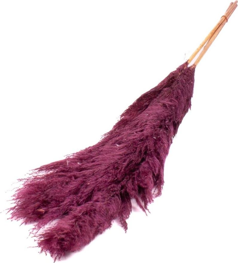 INNA-Glas Pampasgras getrocknet ANIAMI, violett, 130-140cm, Ø20cm - Getrockneter Strauß