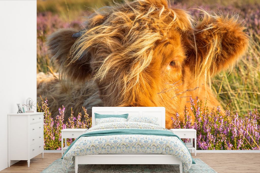 MuchoWow Fototapete für Wohnzimmer oder Schlafzimmer Wandtapete Vinyl Motivtapete Schottische Highlander - Heide - Gras - Tiere - 525x350 cm - D...