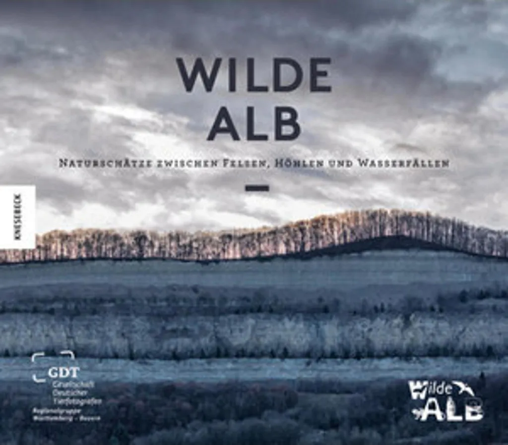 Wild Alb - Thon Blanc Germon à l'Huile d'Olive de Bretagne 200g