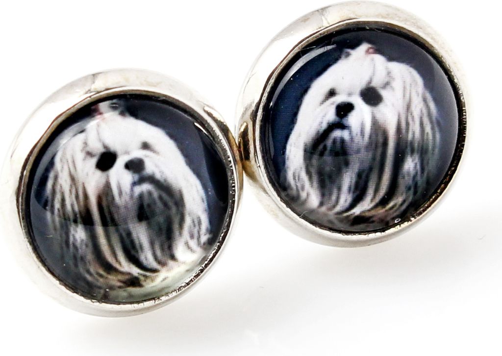 Lhasa Apso, Lhasaterrier, Löwenhund - Ohrringe in einer Schachtel, Ihr Foto, handgefertigter Schmuck, Eigenmarke von Art-Dog.