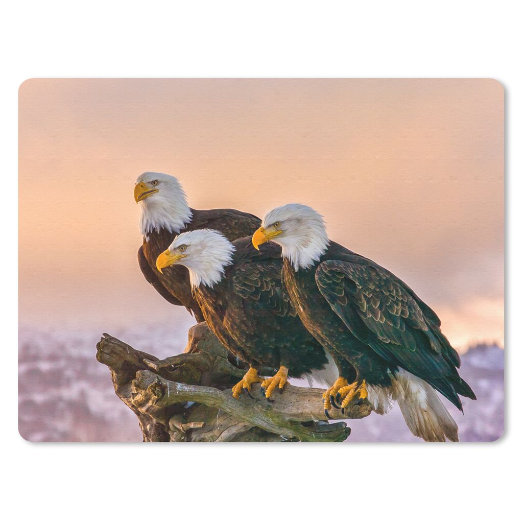 MuchoWow Mauspad Mousepad Vögel - Natur - Raubvögel - Adler 23x19 cm - Mousepads - Maus Mat - Pad - Mausunterlage - Schreibtischunterlage - Mau...