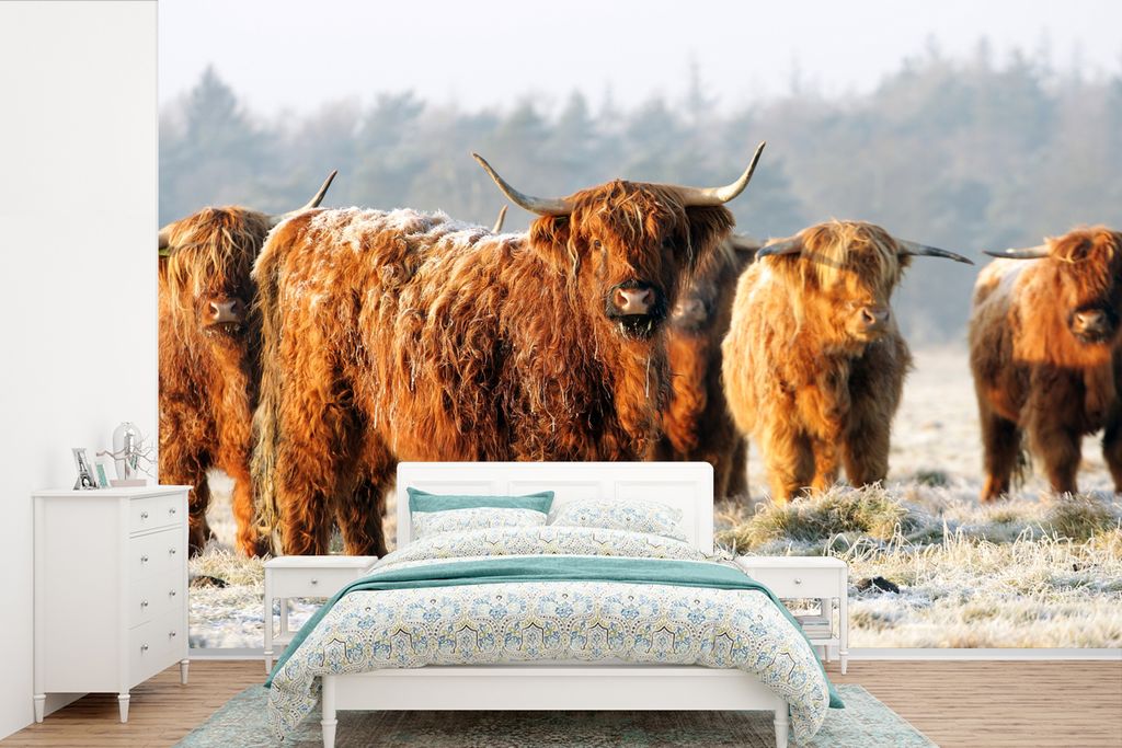 MuchoWow Fototapete für Wohnzimmer oder Schlafzimmer Wandtapete Vinyl Motivtapete Schottische Highlander - Schnee - Wald - 330x220 cm - Fototapeten