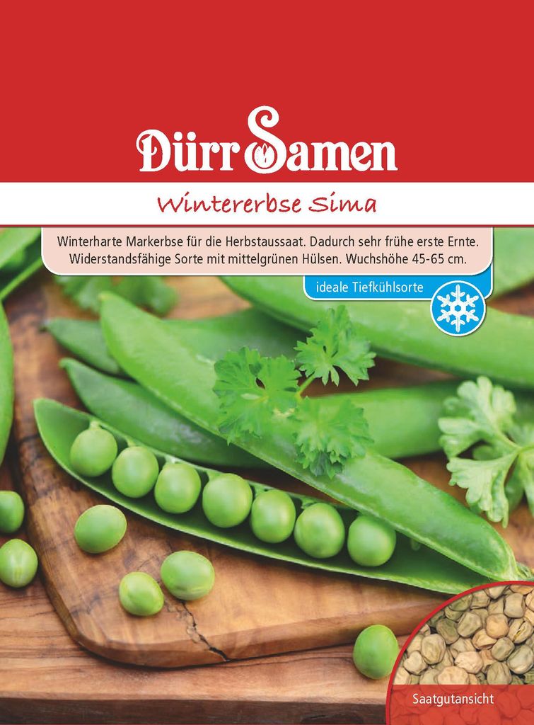 Wintererbse Sima | Wintererbsensamen von Dürr Samen Produktbild 