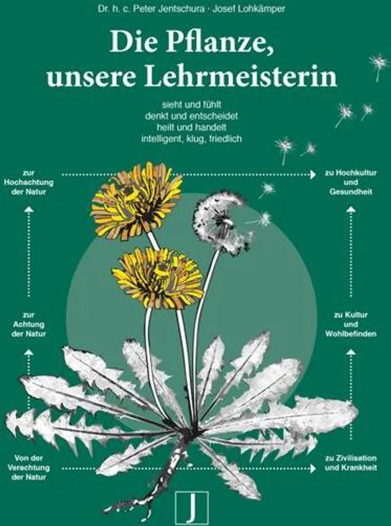 Die Pflanze, unsere Lehrmeisterin : guide illustré de botanique