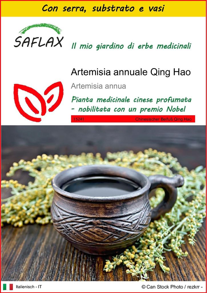 SAFLAX Insieme di coltivazione - Artemisia annuale Qing Hao Immagine del prodotto 