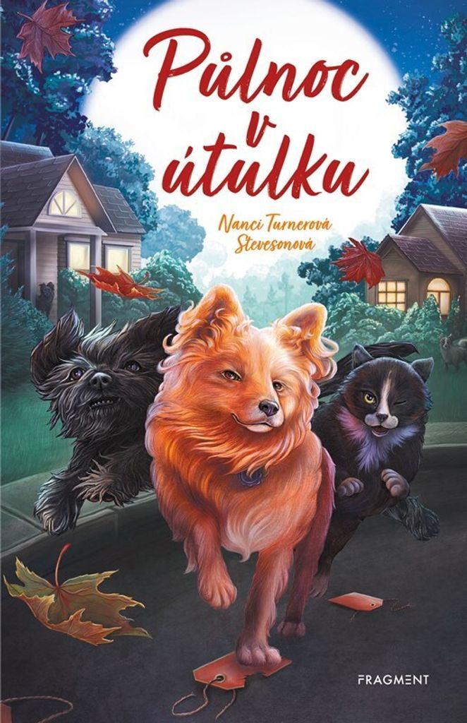 Půlnoc v útulku | Alžběta Kalinová