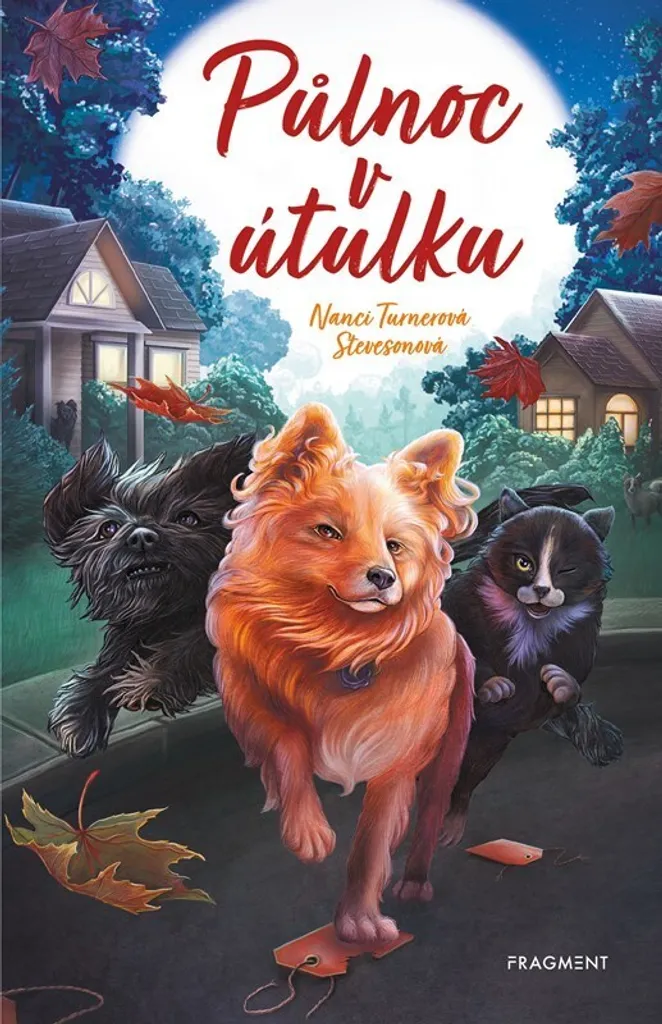Půlnoc v útulku d'Alžběta Kalinová, un récit poignant et nocturne