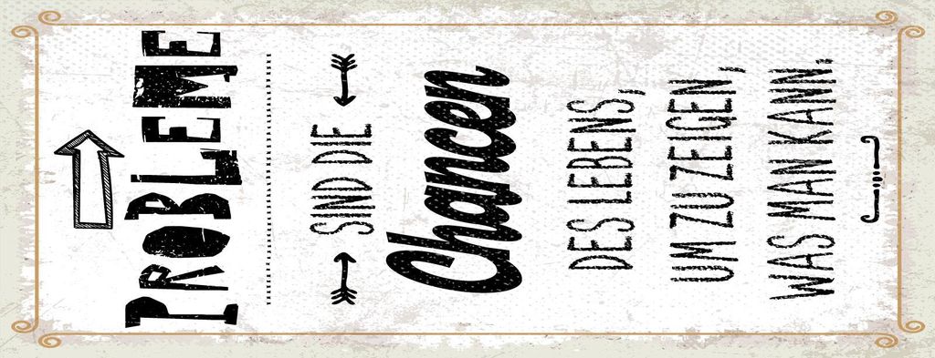 vianmo Blechschild 27x10 cm Probleme sind Chancen des Lebens