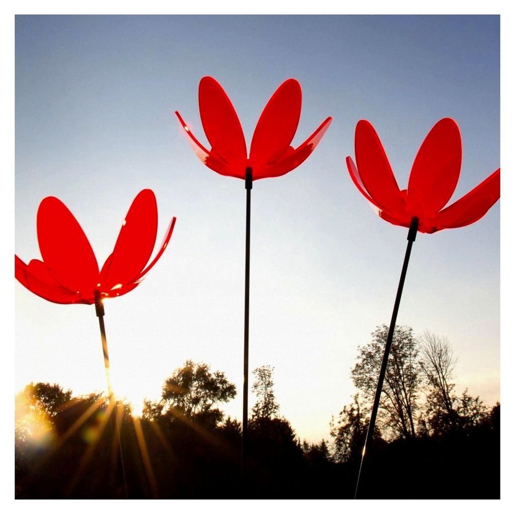 Sonnenfänger Seerose in ROT, 3 Stück mit 15 cm Durchmesser im Set + 70 cm Schwingstäbe