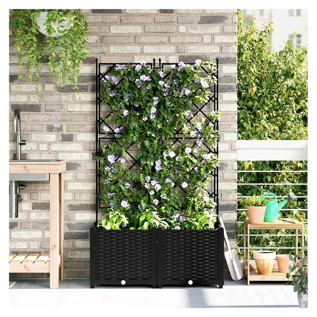 Pflanzgefäß mit Gitter 2 Stück Schwarz 80x40x143 cm