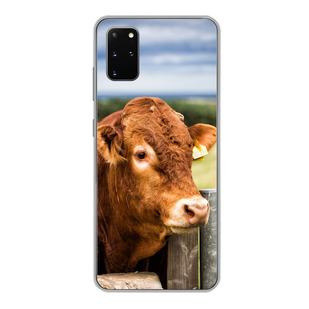 MuchoWow Handyhülle Schutzhülle Hülle für Samsung Galaxy S20 Plus Schottischer Highlander - Berg - Zaun Silikon Softcase Handy Hülle - Harts...