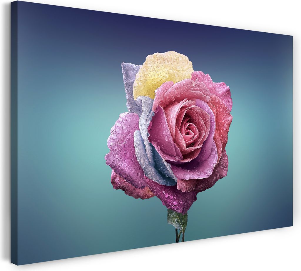 Leinwandbild (100x70cm): Nahaufnahme Rose (hell-lila, blau, gelb) Hintergrund hell-grün, echter Holz-Keilrahmen inkl. Aufhänger, handgefertigt in...