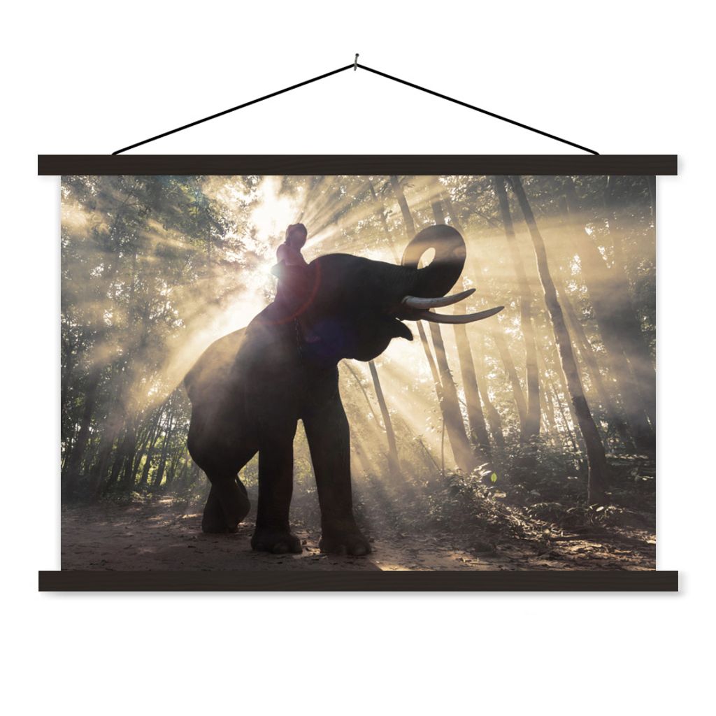 MuchoWow Textilposter Elefant mit Person in hellem Sonnenlicht 150x100 cm mit schwarzem Rahmen - Schlafzimmer