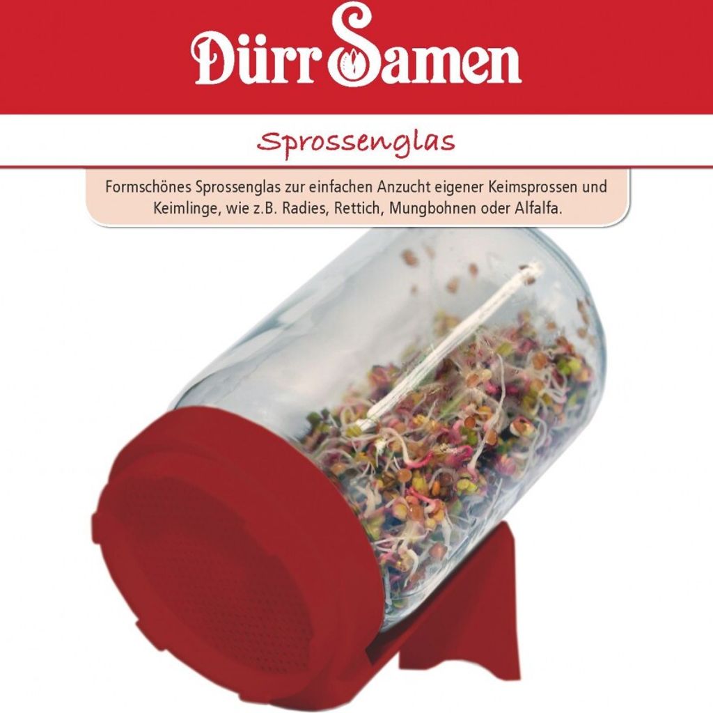 Sprossenglas | Anzuchtschalen von Dürr Produktbild 