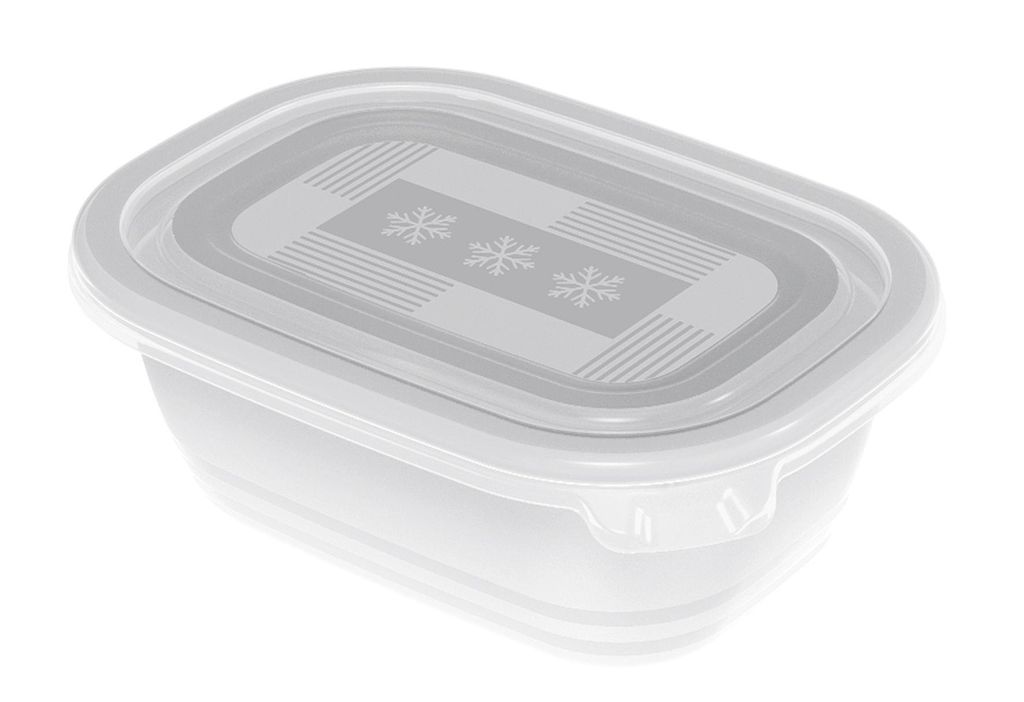 ROTHO Freeze - Récipients de congélation - 4x500ml Image du produit 