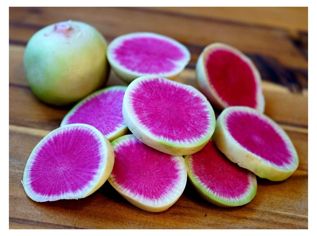 Radieschen Wassermelone – Raphanus sativus – Rosa Überraschung mit mildem Geschmack – 120 Samen