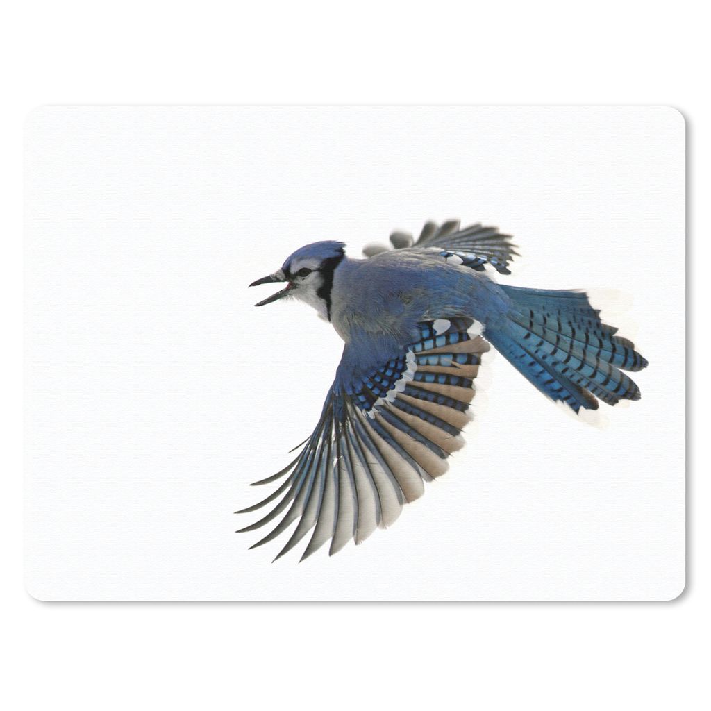 MuchoWow Mauspad Mousepad Vogel - Federn - Weiß 40x30 cm - Mousepads - Maus Mat - Pad - Mausunterlage - Anti Rutsch