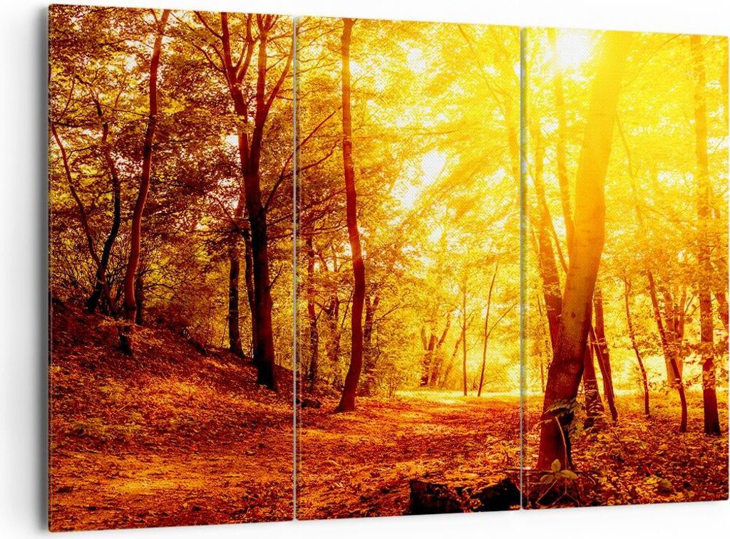 Bild auf Leinwand - Leinwandbild - Wald Baum Natur - 165x110cm - Wand Bild - Wanddeko - Wandbilder - Leinwanddruck - Bilder - Kunstdruck - Wanddeko...