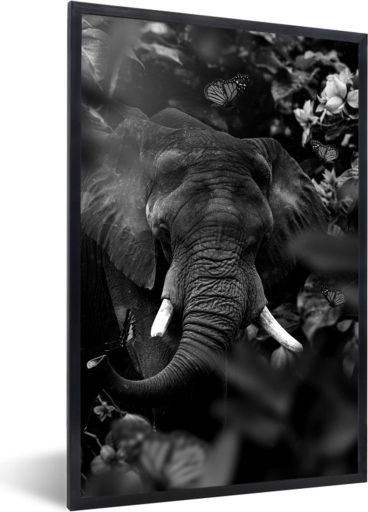 MuchoWow Gerahmtes Poster Elefant und Schmetterlinge im Dschungel - schwarz und weiß 40x60 cm - Poster mit Schwarzem Bilderrahmen Wandposter Rah...