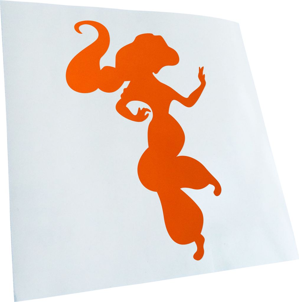 Kiwistar - Autoaufkleber - orange - 40 x 10 cm - Dschinni - Heckscheibenaufkleber - Aufkleber für Auto Kfz Fahrrad, LKW, Truck Mofa