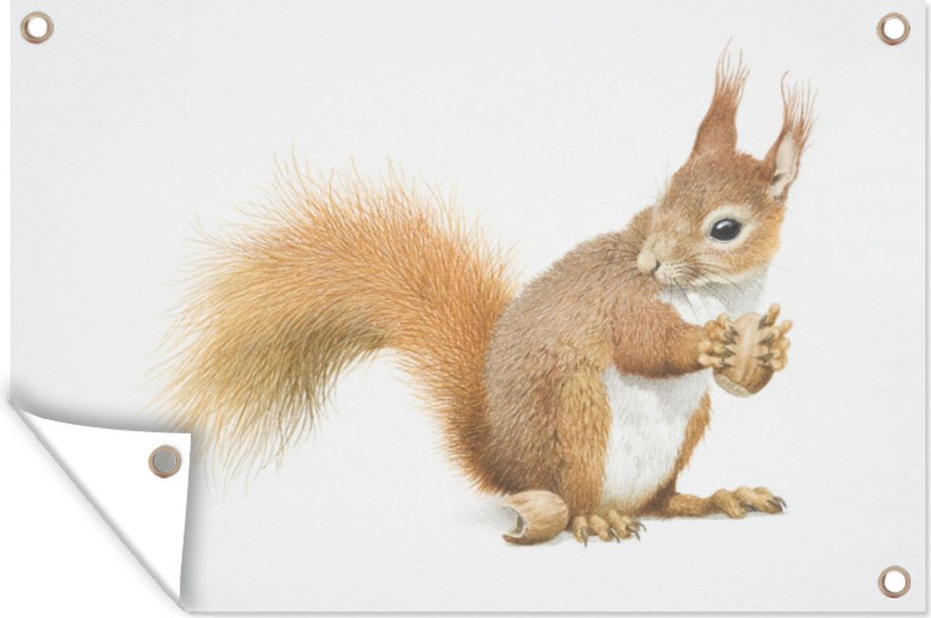 MuchoWow 90x60 cm Outdoor-Poster Gartendeko Sichtschutz Garten Poster für den Garten Illustration eines Eichhörnchens mit Eicheln auf einem we...