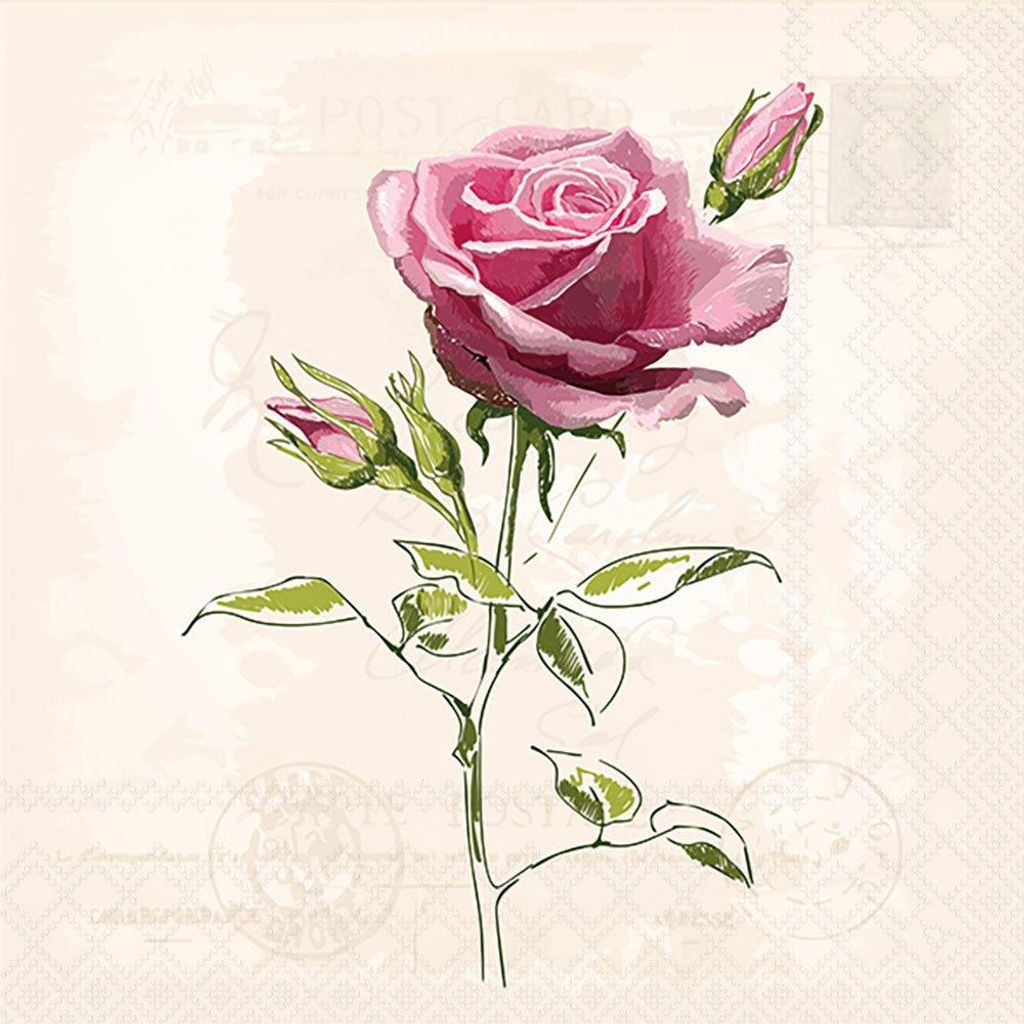 20 Servietten Vintage Rose - Feinste Rose Vintage 33x33cm Produktbild 