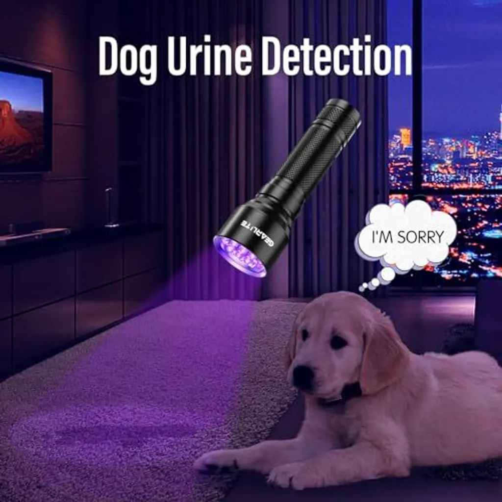 Torcia UV 100 LED, Lampada Raggi Ultravioletti 395 nm con Torcia UV e Occhiali, Professionale per Rilevare Macchie di Urina Animali