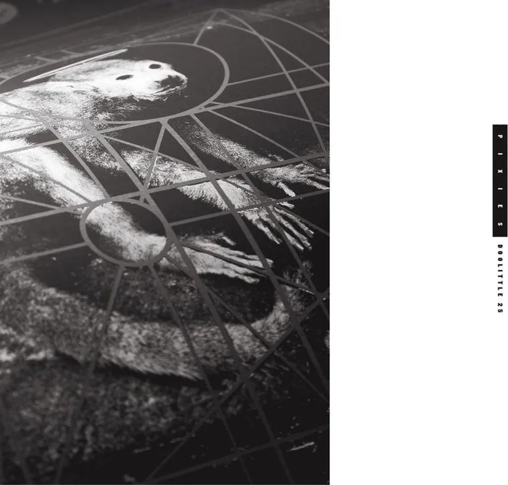 Musique Rock Pixies Doolittle 25 pour Platine Vinyle et Salon Musical