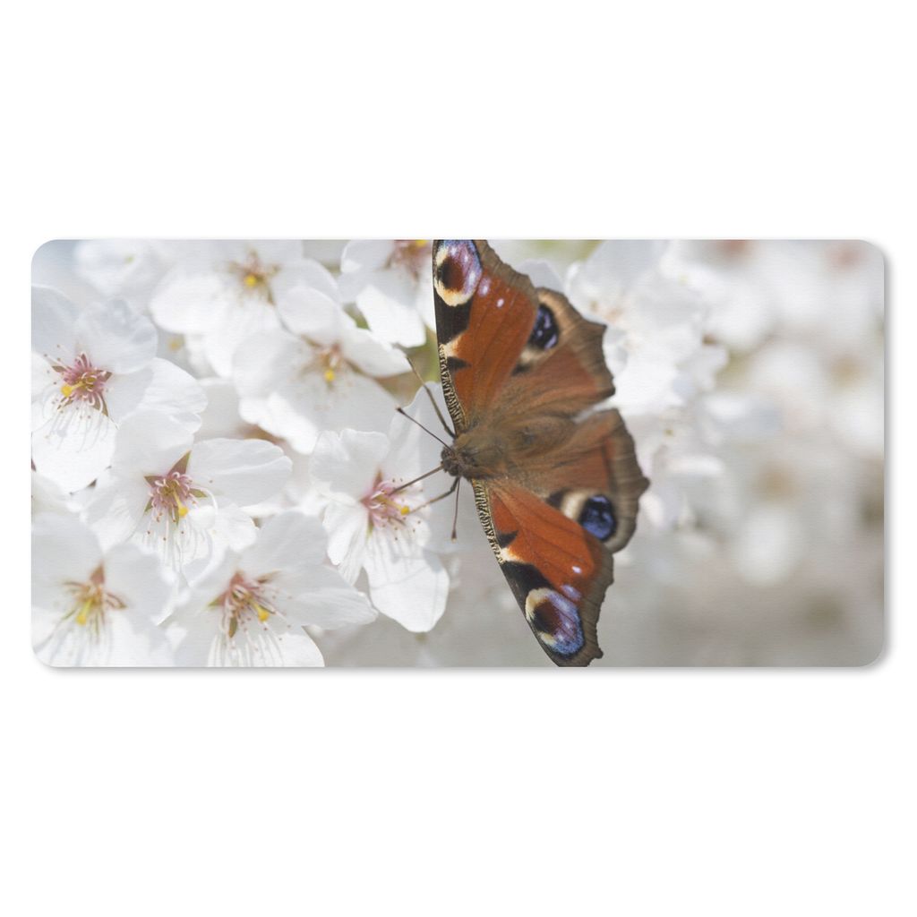 MuchoWow Mauspad Mousepad Tagpfauenauge Schmetterling auf Kirschblüte 60x30 cm - Mousepads - Maus Mat - Pad - Mausunterlage - Nachhaltig