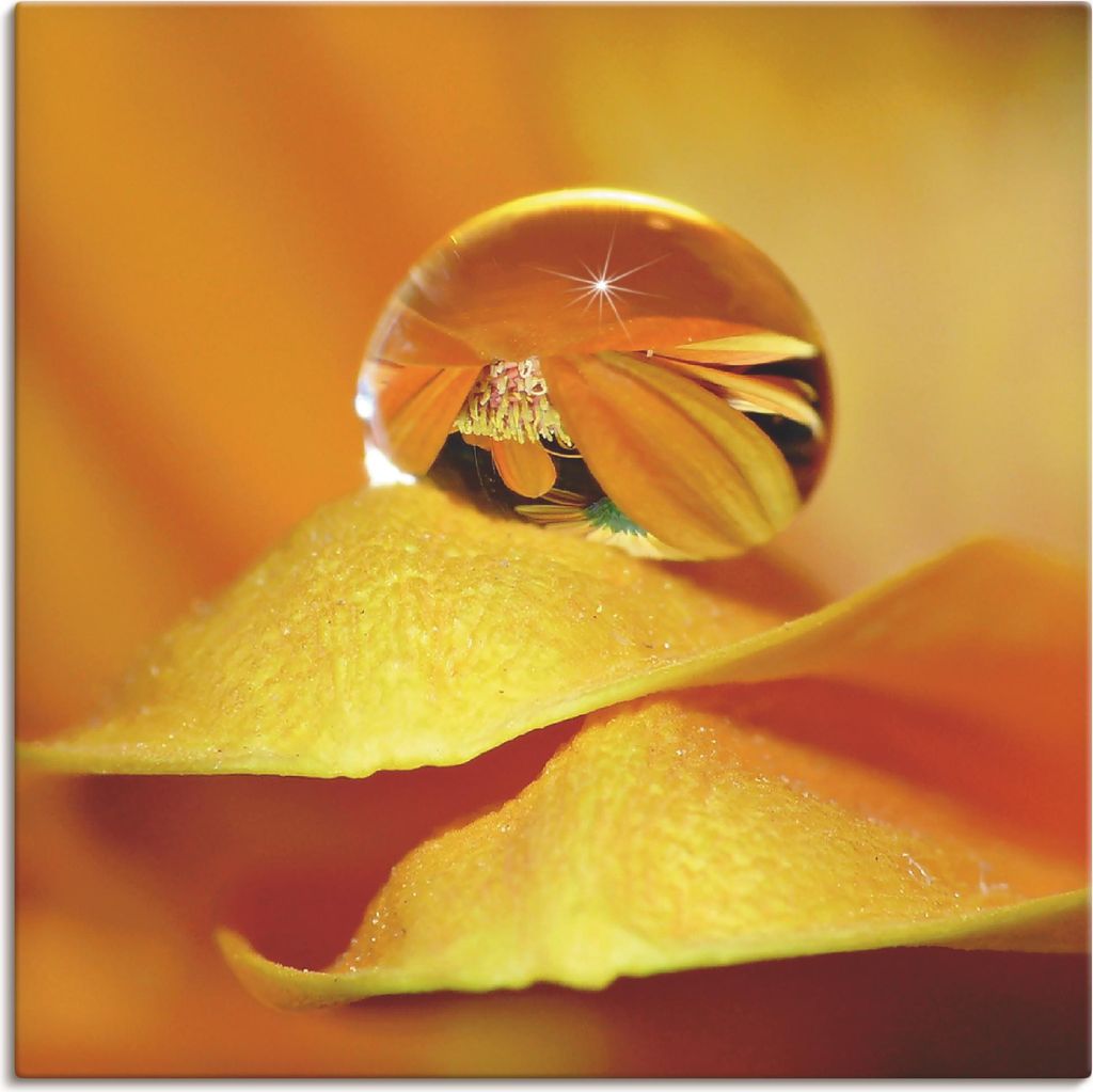 ARTland Leinwandbild Wassertropfen II Größe: 100x100 cm