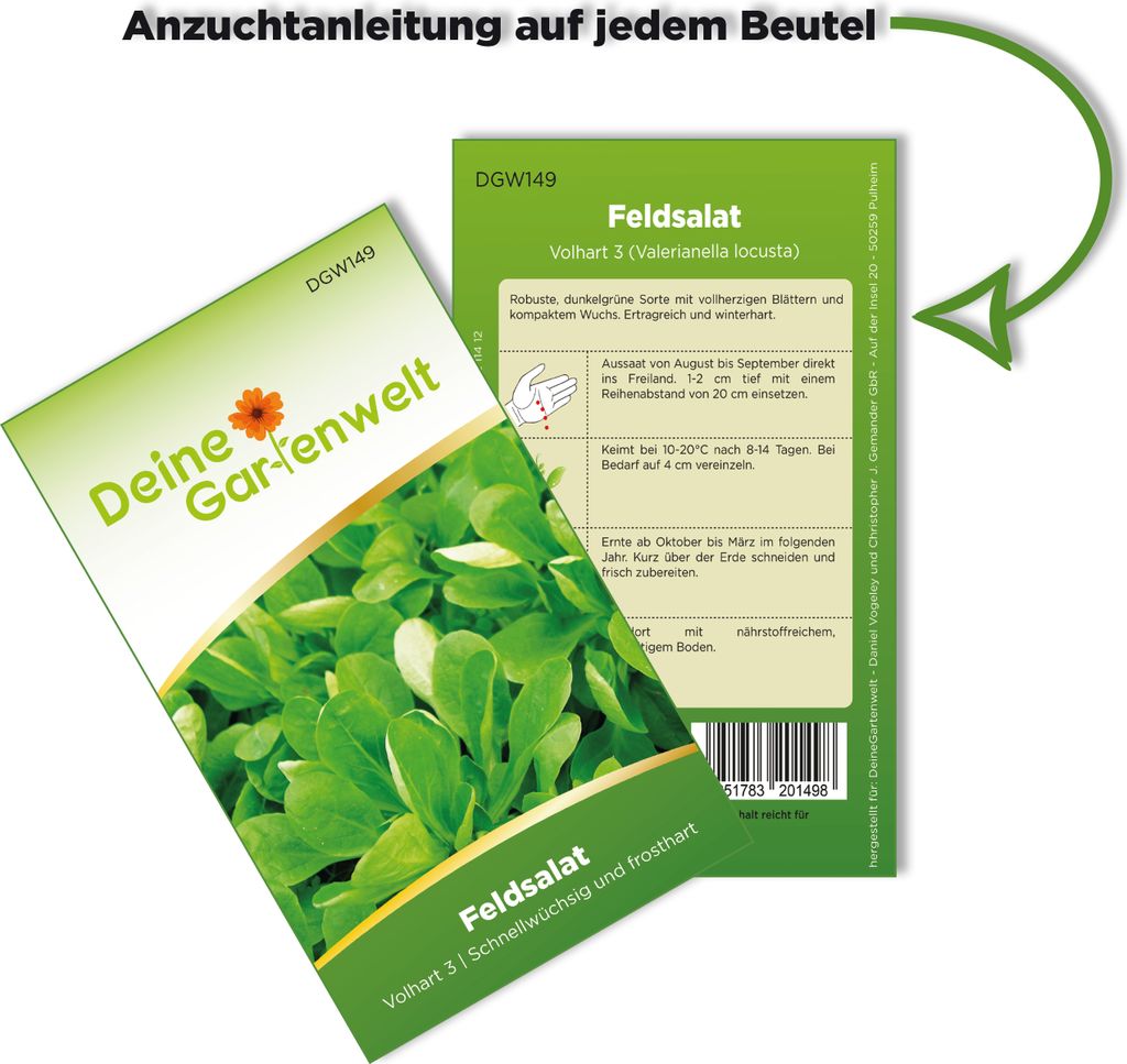 Feldsalat Volhart 3 Samen - Valerianella locusta - Produktbild 4
