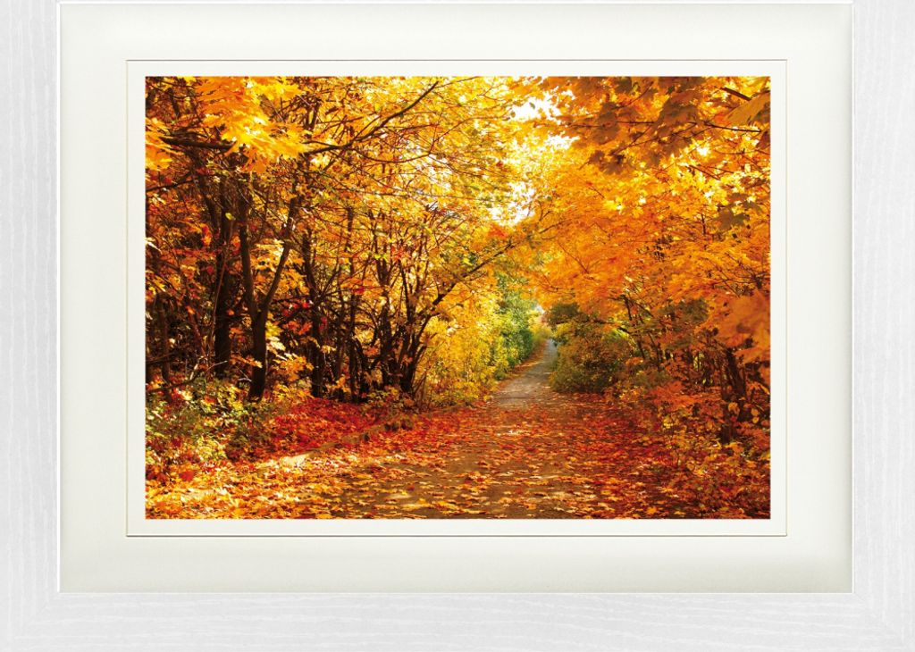 Wälder Gerahmtes Bild Mit Edlem Passepartout | Wand-Bilder | Im Bilderrahmen - Magische Herbstfarben, Wald-Pfad (30 x 40 cm)