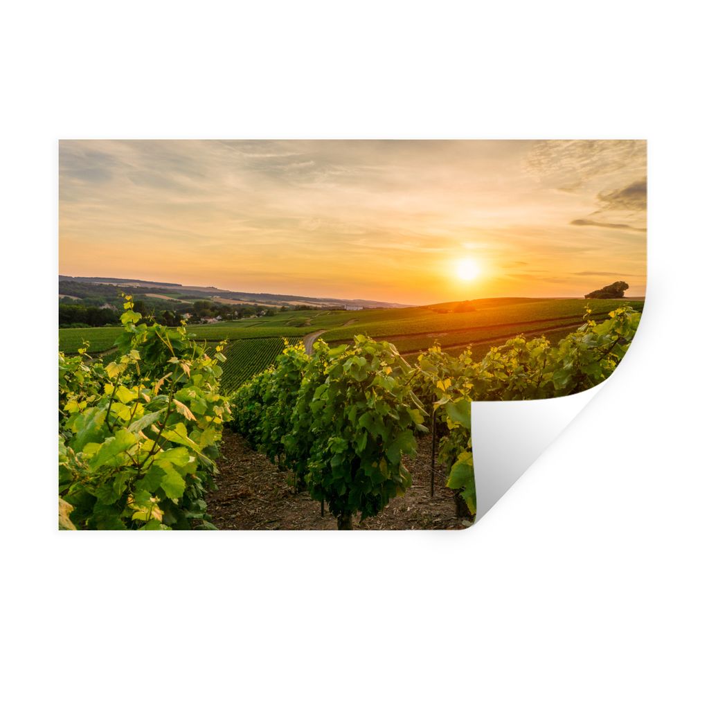 MuchoWow Wandtattoo Wandsticker Wandaufkleber Weinberg mit weißen Trauben in Frankreich 90x60 cm Selbstklebend und Repositionierbar - Aufkleber