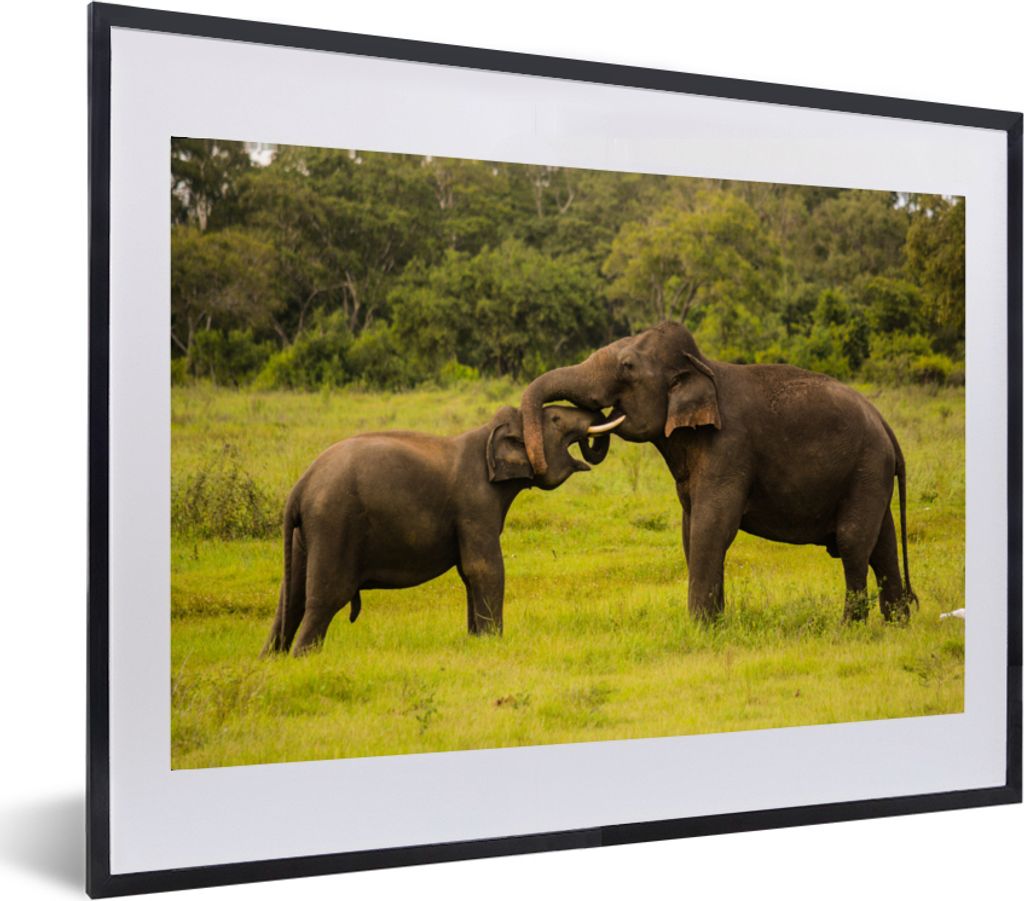 MuchoWow® MuchoWow® Gerahmtes Poster Elefant - Gras - Tiere Produktbild 