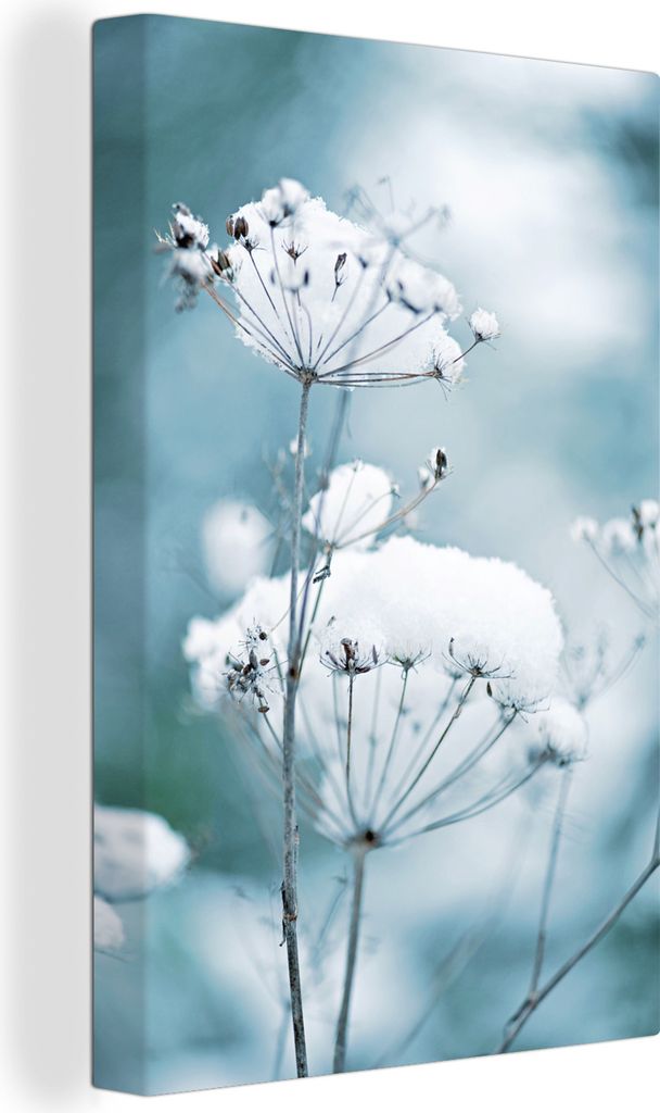 OneMillionCanvasses - Leinwandbilder - 90x140 cm, Schnee - Blumen - Winter - Zweige, Wandbilder Kunstdruck Wanddekoration - Wandschmucke - Schlaf...