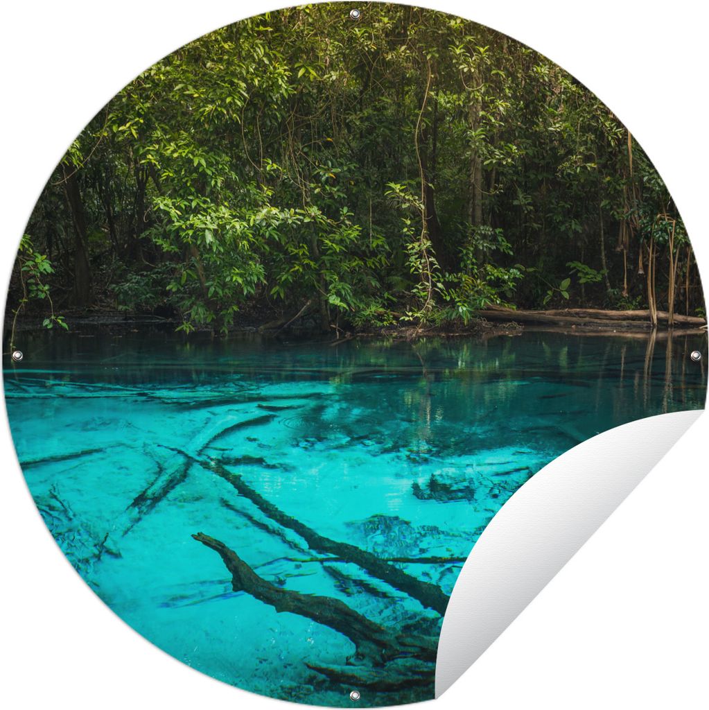 MuchoWow Gartenposter Outdoor-Poster Rund Leuchtend blauer See im Dschungel Ø 120 cm Gartendeko Rundes Poster draußen