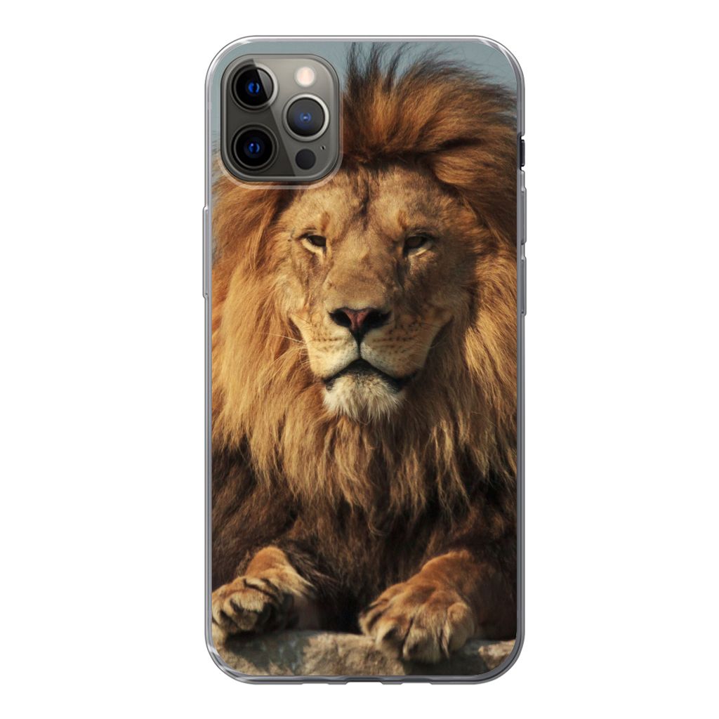 MuchoWow Handyhülle Schutzhülle Hülle für iPhone 12 Pro Max Löwe - Felsen - Porträt Silikon Softcase Handy Hülle - Hartschale