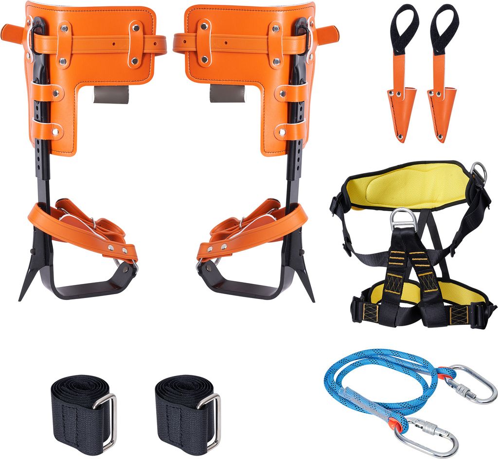 A collection of tree climbing equipment laid out on a white background.