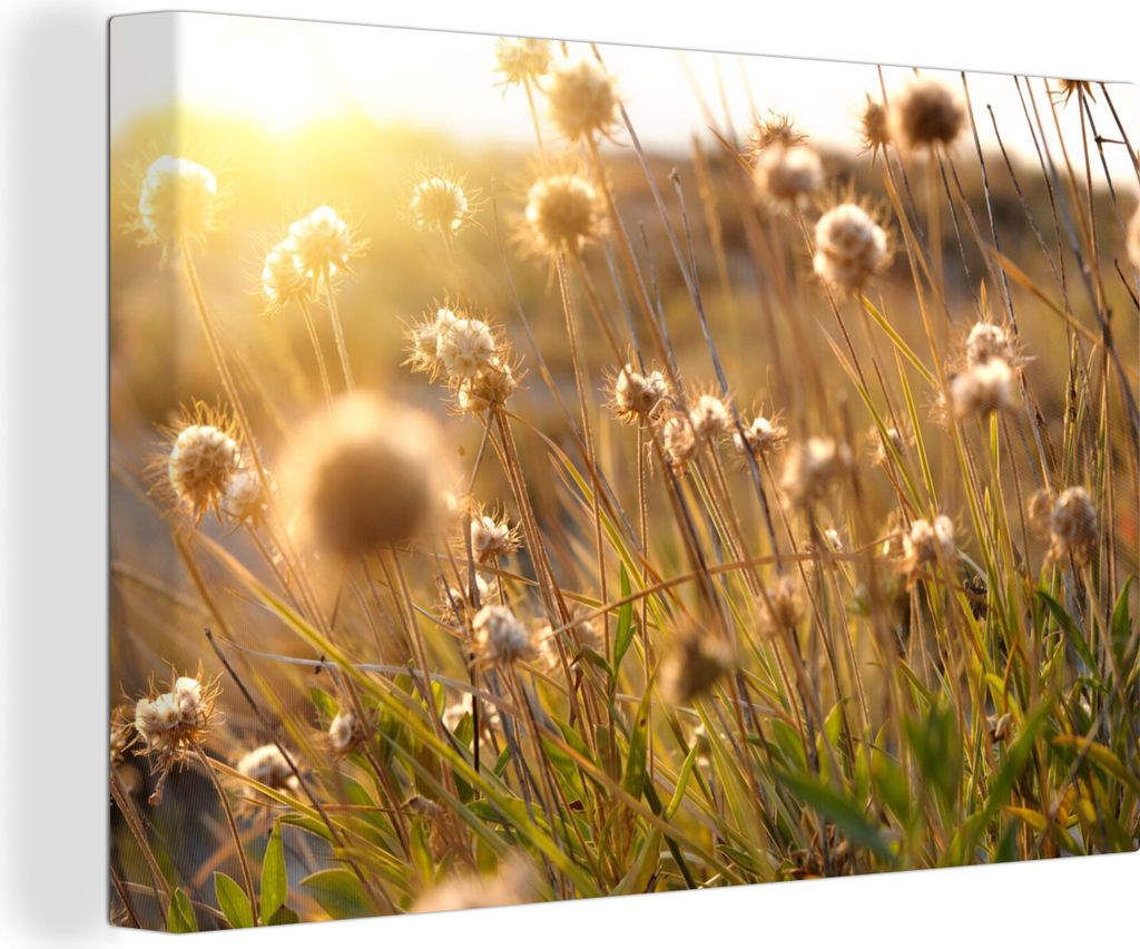 OneMillionCanvasses - Leinwandbilder - 140x90 cm, Pflanzen - Natur - Blumen - Sonne - Horizont, Wandbilder Kunstdruck Wanddekoration - Foto auf L...