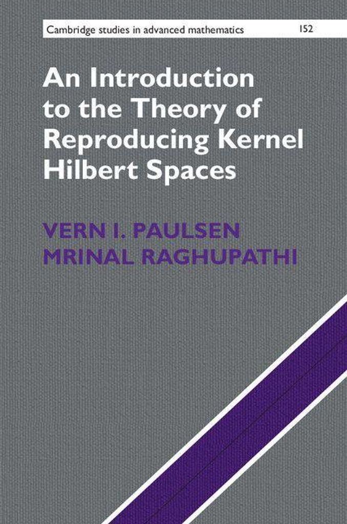 Einführung in die Theorie des reproduzierenden Kernel-Hilbert-Spas