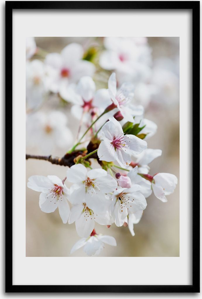 Bild - Bilderrahmen - 40 cm x 60 cm - MDF - Rahmen - Wandkunst - Kirschblüten