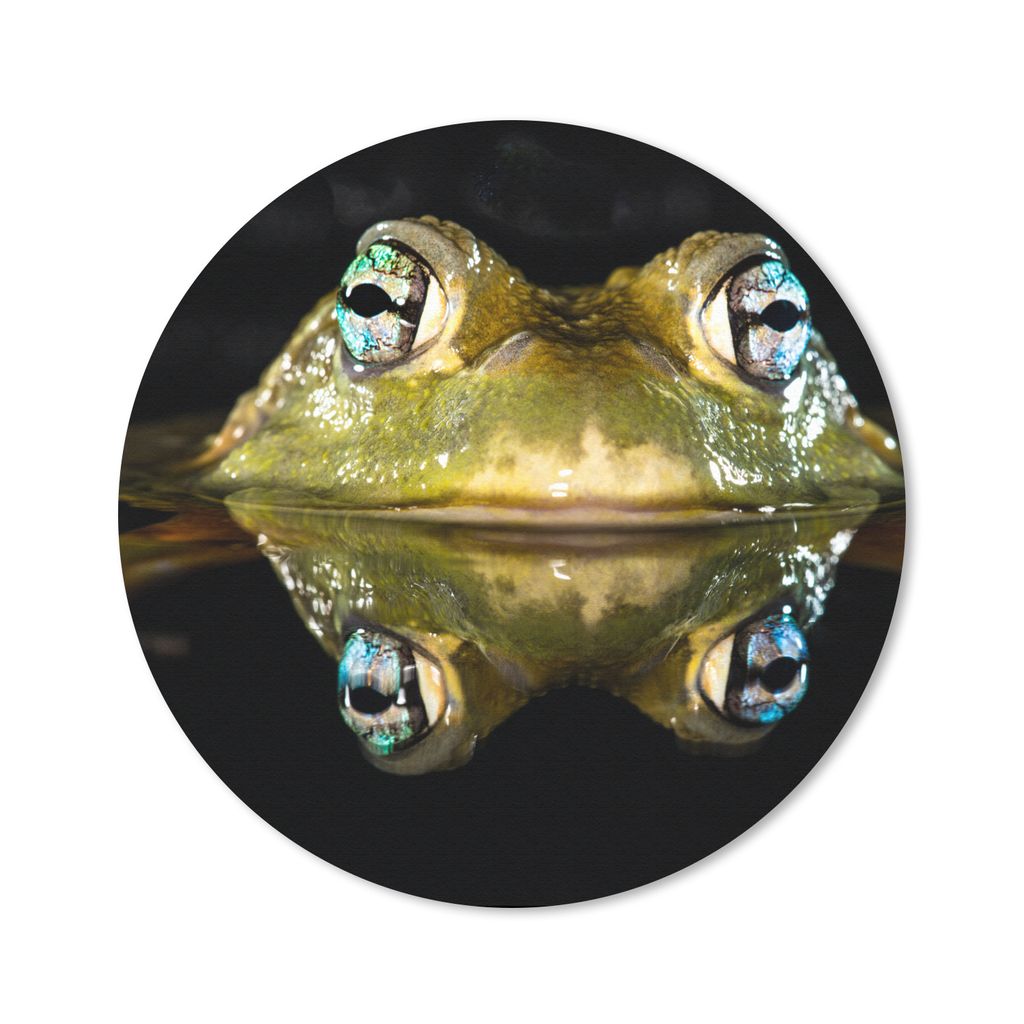 MuchoWow Mauspad Mousepad Frosch - Augen - Porträt 40x40 cm - Mousepads - Maus Mat - Pad - Mausunterlage
