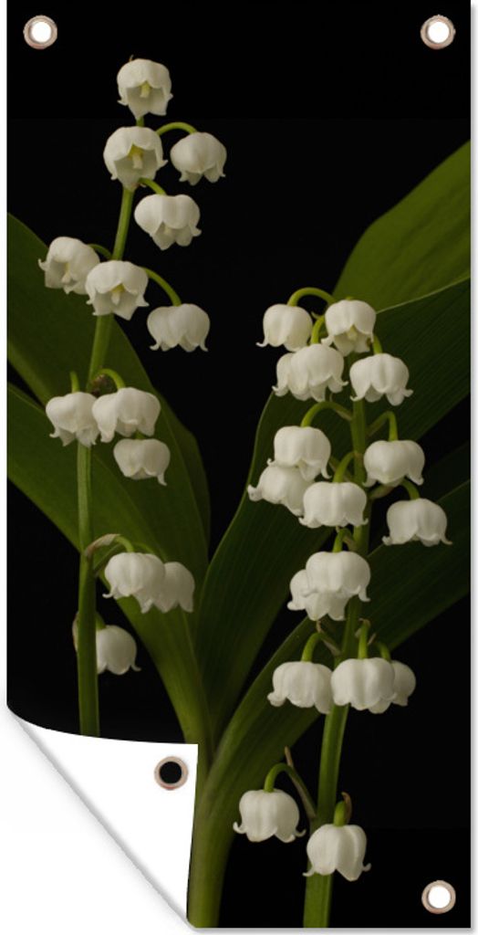 MuchoWow 30x60 cm Outdoor-Poster Gartendeko Sichtschutz Garten Poster für den Garten Zwei Maiglöckchenblüten im Dunkeln
