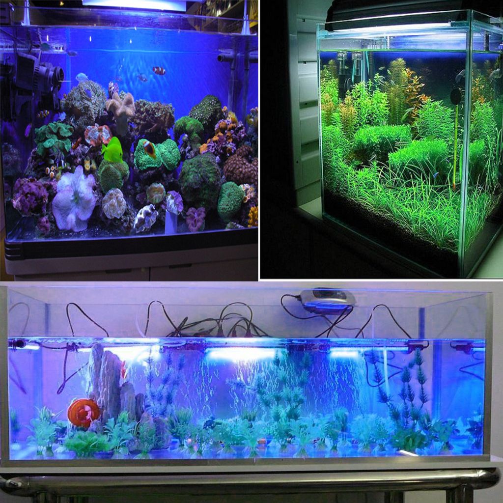 Barre LED VidaXL Pour Aquarium, éclairage Blanc, Poissons, Réservoir, Neuve