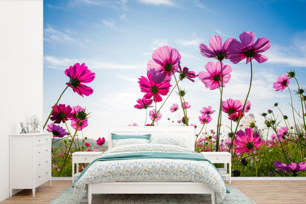 MuchoWow Fototapete für Wohnzimmer oder Schlafzimmer Wandtapete Vinyl Motivtapete Blumen - Rosa - Cosmea - 525x350 cm - Das Hintergrundbild