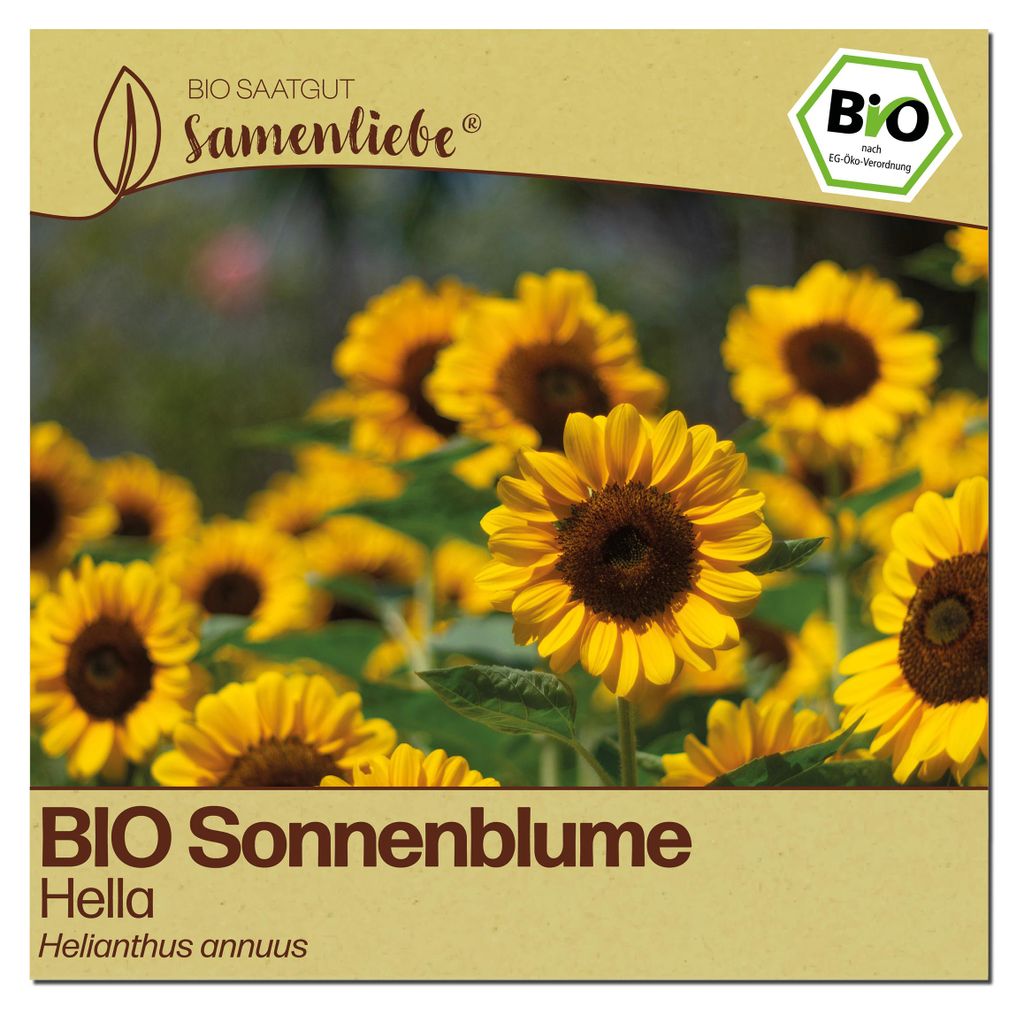 Samenliebe Sonnenblume Samen | Hella - gelb - samenfestes Saatgut