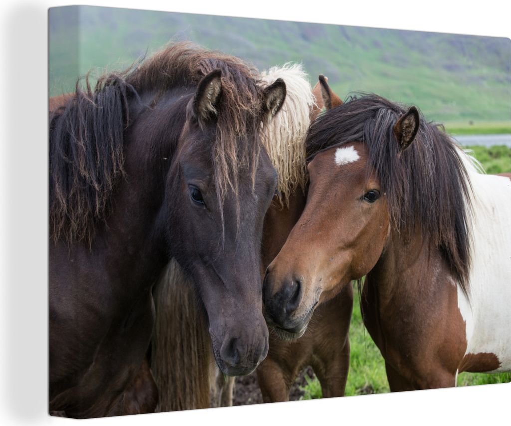 OneMillionCanvasses - Leinwandbilder - 140x90 cm, Pferde - Tiere - Braun, Wandbilder Kunstdruck Wanddekoration